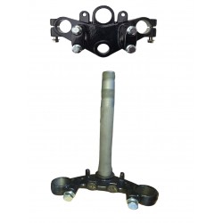 Salcano Wolf 125 Alt - Üst Çatal Komple